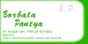 borbala pantya business card